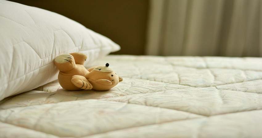 How Do You Clean A Mattress With Bed Bugs?